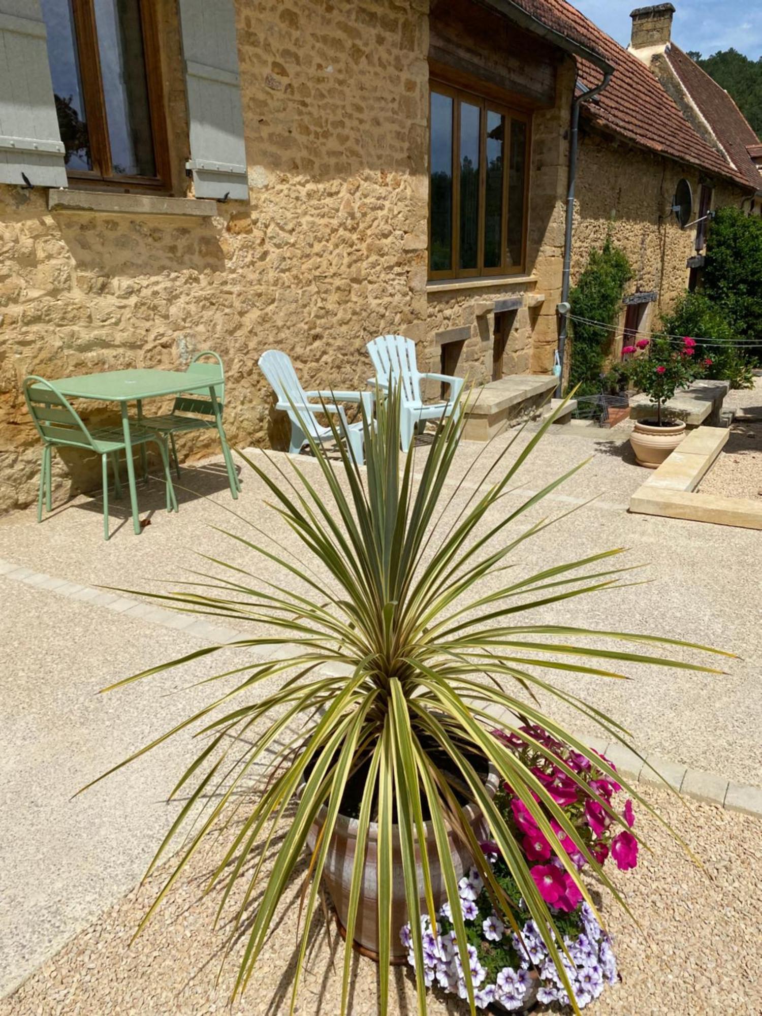 Bed and Breakfast La Dovecote Sarlat Beynac-et-Cazenac Exterior foto